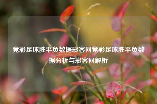 竞彩足球胜平负数据彩客网竞彩足球胜平负数据分析与彩客网解析