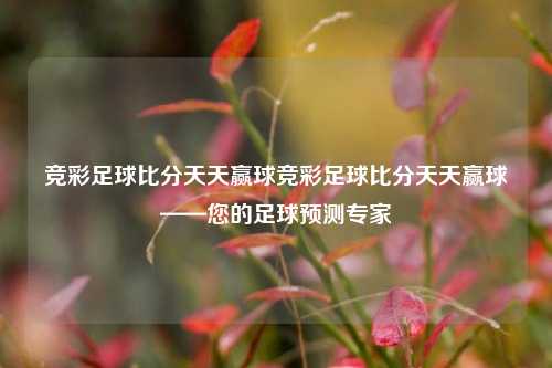 竞彩足球比分天天赢球竞彩足球比分天天赢球——您的足球预测专家