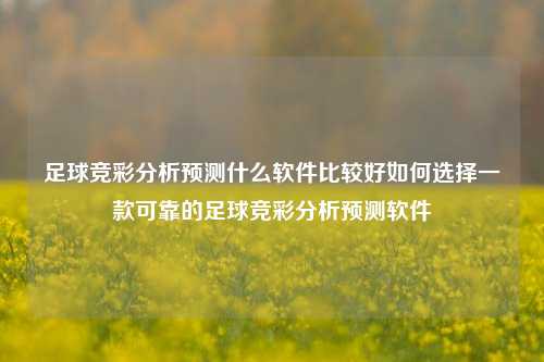 足球竞彩分析预测什么软件比较好如何选择一款可靠的足球竞彩分析预测软件