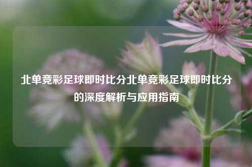 北单竞彩足球即时比分北单竞彩足球即时比分的深度解析与应用指南