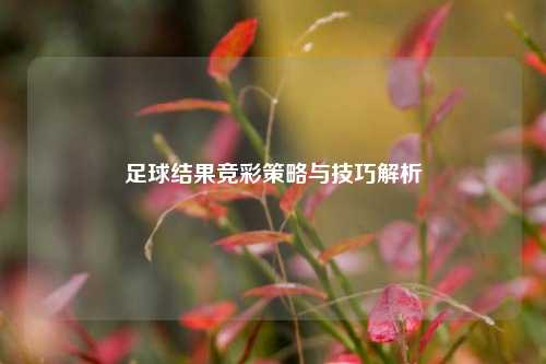 足球结果竞彩策略与技巧解析