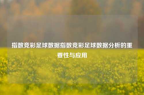 指数竞彩足球数据指数竞彩足球数据分析的重要性与应用