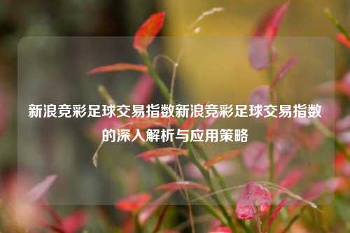 新浪竞彩足球交易指数新浪竞彩足球交易指数的深入解析与应用策略