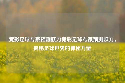 竞彩足球专家预测妖刀竞彩足球专家预测妖刀，揭秘足球世界的神秘力量