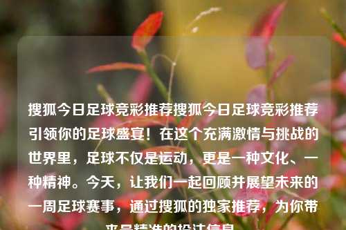 搜狐今日足球竞彩推荐搜狐今日足球竞彩推荐引领你的足球盛宴！在这个充满激情与挑战的世界里，足球不仅是运动，更是一种文化、一种精神。今天，让我们一起回顾并展望未来的一周足球赛事，通过搜狐的独家推荐，为你带来最精准的投注信息。