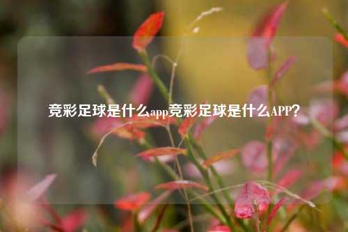 竞彩足球是什么app竞彩足球是什么APP？