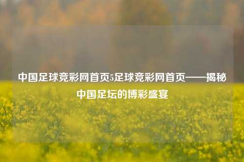 中国足球竞彩网首页5足球竞彩网首页——揭秘中国足坛的博彩盛宴