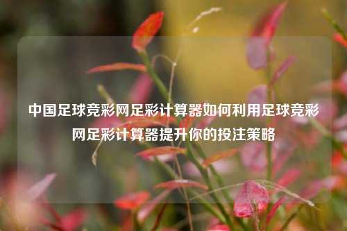 中国足球竞彩网足彩计算器如何利用足球竞彩网足彩计算器提升你的投注策略