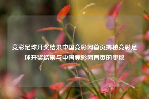 竞彩足球开奖结果中国竞彩网首页揭秘竞彩足球开奖结果与中国竞彩网首页的奥秘