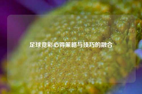 足球竞彩心得策略与技巧的融合