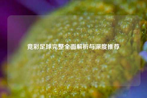竞彩足球完整全面解析与深度推荐