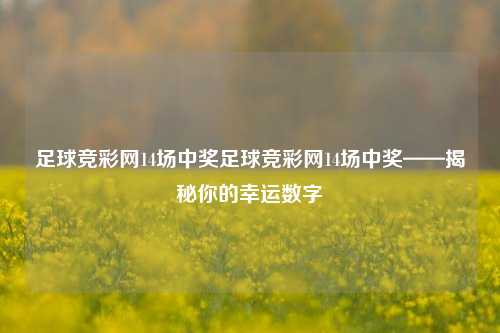 足球竞彩网14场中奖足球竞彩网14场中奖——揭秘你的幸运数字