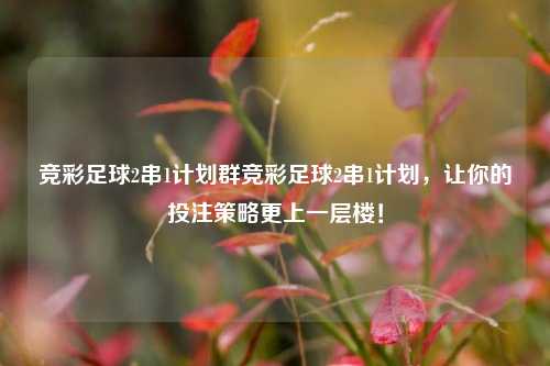 竞彩足球2串1计划群竞彩足球2串1计划，让你的投注策略更上一层楼！