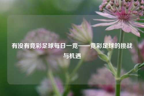 有没有竞彩足球每日一竞——竞彩足球的挑战与机遇