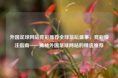 外国足球网站竞彩推荐全球足坛盛事，竞彩投注指南——揭秘外国足球网站的精选推荐