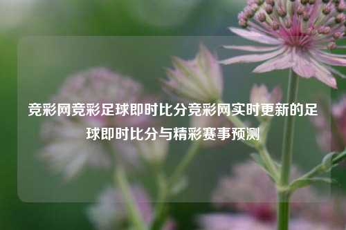 竞彩网竞彩足球即时比分竞彩网实时更新的足球即时比分与精彩赛事预测