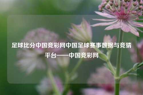 足球比分中国竞彩网中国足球赛事数据与竞猜平台——中国竞彩网
