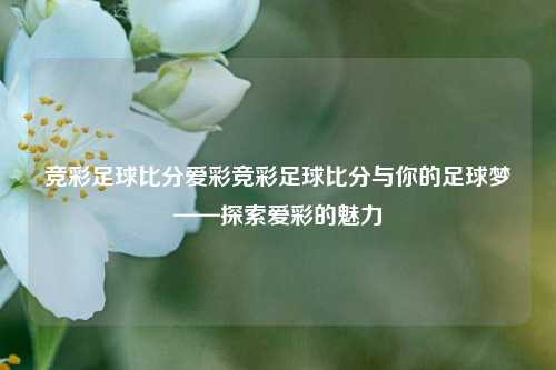 竞彩足球比分爱彩竞彩足球比分与你的足球梦——探索爱彩的魅力