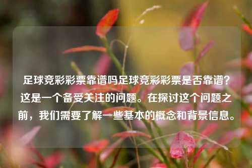 足球竞彩彩票靠谱吗足球竞彩彩票是否靠谱？这是一个备受关注的问题。在探讨这个问题之前，我们需要了解一些基本的概念和背景信息。