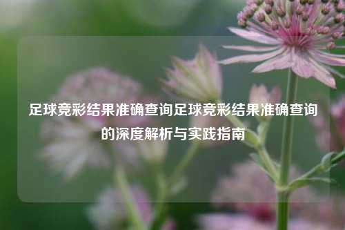 足球竞彩结果准确查询足球竞彩结果准确查询的深度解析与实践指南