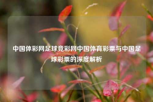 中国体彩网足球竞彩网中国体育彩票与中国足球彩票的深度解析