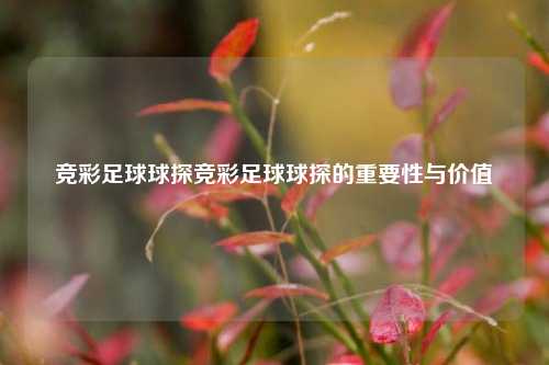竞彩足球球探竞彩足球球探的重要性与价值
