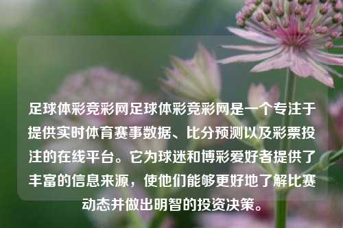 足球体彩竞彩网足球体彩竞彩网是一个专注于提供实时体育赛事数据、比分预测以及彩票投注的在线平台。它为球迷和博彩爱好者提供了丰富的信息来源，使他们能够更好地了解比赛动态并做出明智的投资决策。