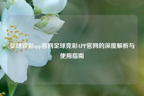 足球竞彩app官网足球竞彩APP官网的深度解析与使用指南