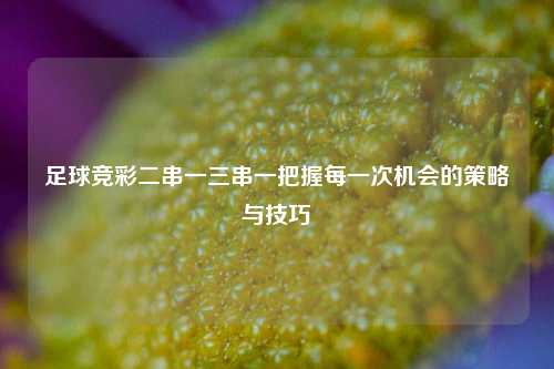 足球竞彩二串一三串一把握每一次机会的策略与技巧