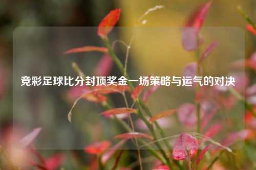 竞彩足球比分封顶奖金一场策略与运气的对决