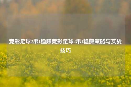 竞彩足球2串1稳赚竞彩足球2串1稳赚策略与实战技巧