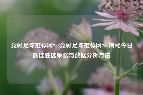 竞彩足球推荐网258竞彩足球推荐网258揭秘今日最佳胜选策略与数据分析方法