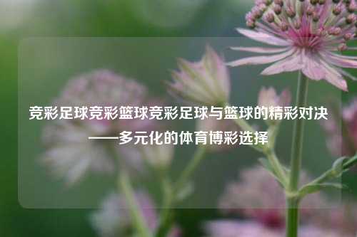 竞彩足球竞彩篮球竞彩足球与篮球的精彩对决——多元化的体育博彩选择