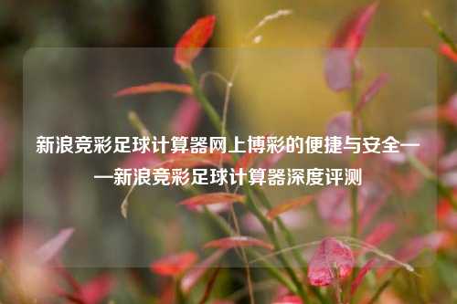 新浪竞彩足球计算器网上博彩的便捷与安全——新浪竞彩足球计算器深度评测