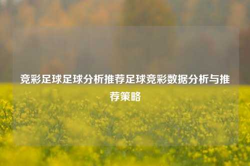 竞彩足球足球分析推荐足球竞彩数据分析与推荐策略