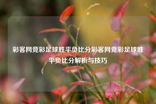 彩客网竞彩足球胜平负比分彩客网竞彩足球胜平负比分解析与技巧