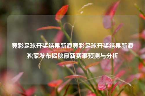 竞彩足球开奖结果新浪竞彩足球开奖结果新浪独家发布揭秘最新赛事预测与分析