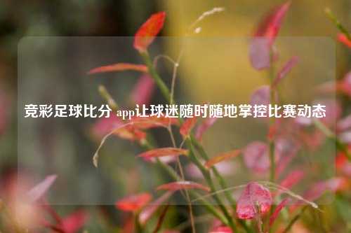 竞彩足球比分 app让球迷随时随地掌控比赛动态
