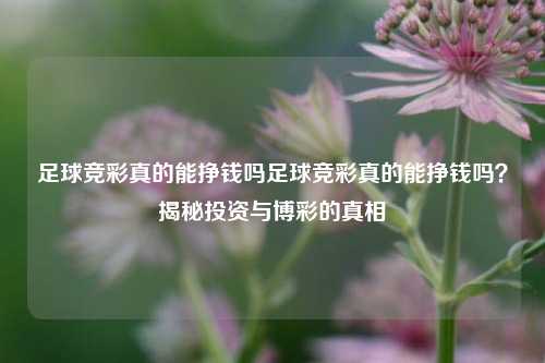 足球竞彩真的能挣钱吗足球竞彩真的能挣钱吗？揭秘投资与博彩的真相