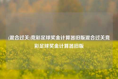 (混合过关)竞彩足球奖金计算器旧版混合过关竞彩足球奖金计算器旧版