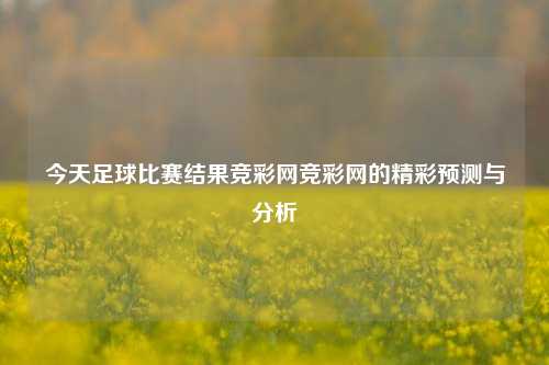 今天足球比赛结果竞彩网竞彩网的精彩预测与分析