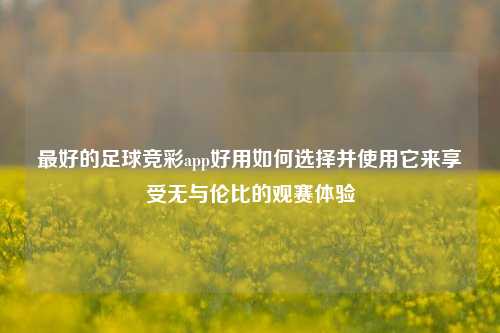 最好的足球竞彩app好用如何选择并使用它来享受无与伦比的观赛体验