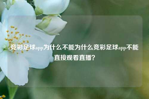 竞彩足球app为什么不能为什么竞彩足球app不能直接观看直播？