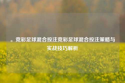 。竞彩足球混合投注竞彩足球混合投注策略与实战技巧解析