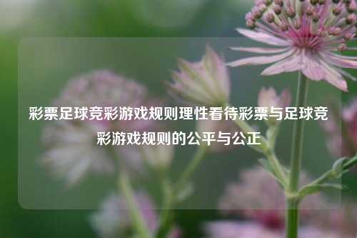 彩票足球竞彩游戏规则理性看待彩票与足球竞彩游戏规则的公平与公正