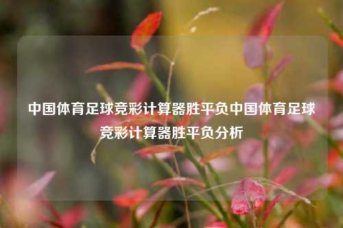 中国体育足球竞彩计算器胜平负中国体育足球竞彩计算器胜平负分析