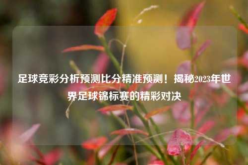 足球竞彩分析预测比分精准预测！揭秘2023年世界足球锦标赛的精彩对决