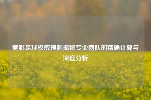 竞彩足球权威预测揭秘专业团队的精确计算与深度分析