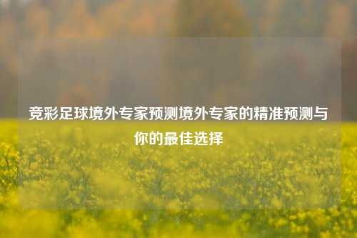 竞彩足球境外专家预测境外专家的精准预测与你的最佳选择