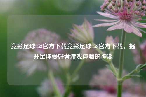 竞彩足球258官方下载竞彩足球258官方下载，提升足球爱好者游戏体验的神器